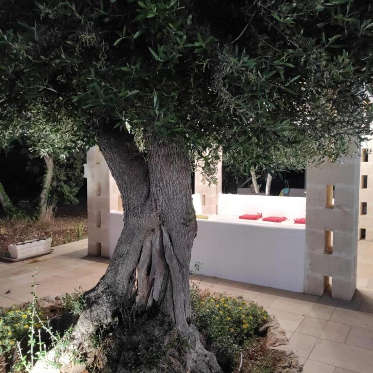 Trulli LENUCCIA villa - Villa with Private Pool - 79