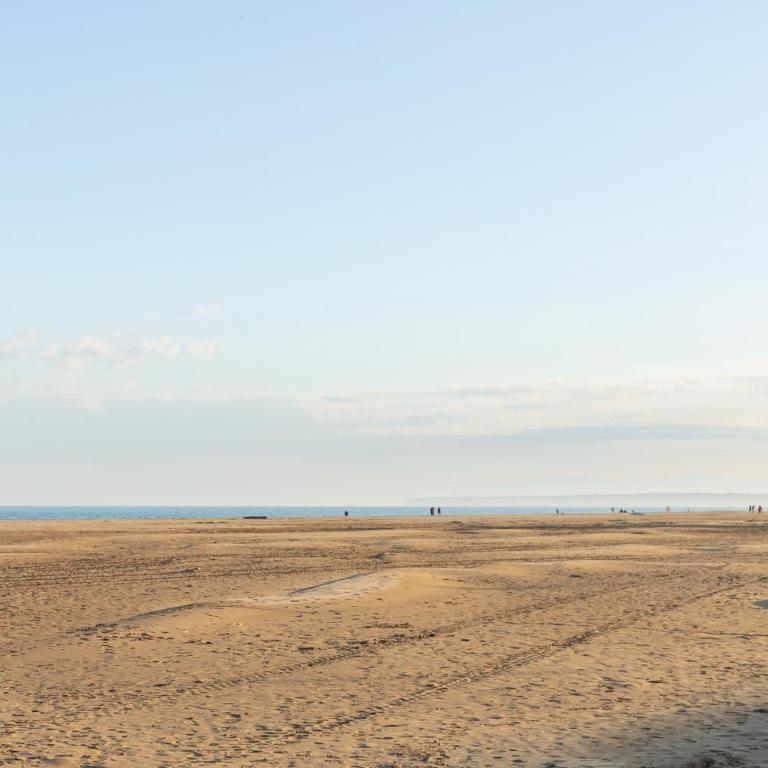 Les Jacinthes - Spacious sea view - Appartement 2 Chambres - 30