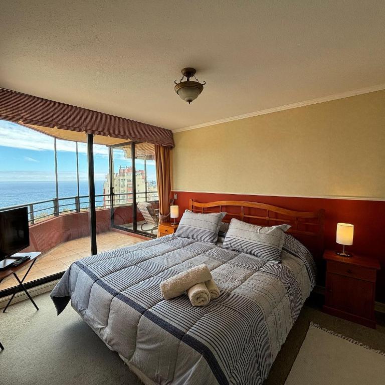 Ventisquero Grey Jardin del Mar - Apartamento - 5