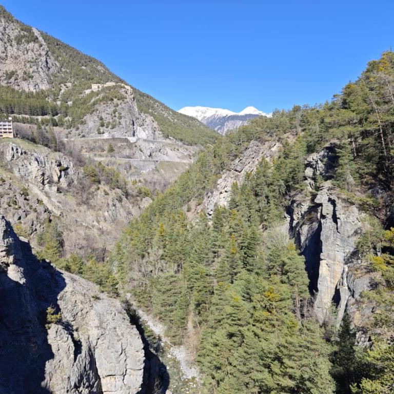 Serre Chevalier 2 pièces au cœur du centre historique - Appartement 1 Chambre - 19