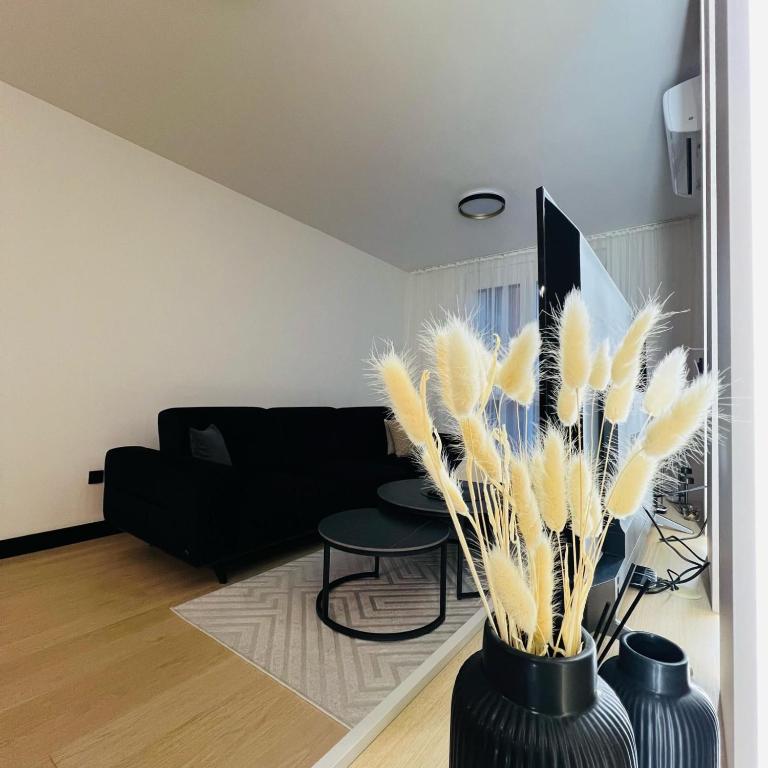 Apartman1105 Sarajevo Free Garage - Apartman sa 1 Spavaćom Sobom - 24