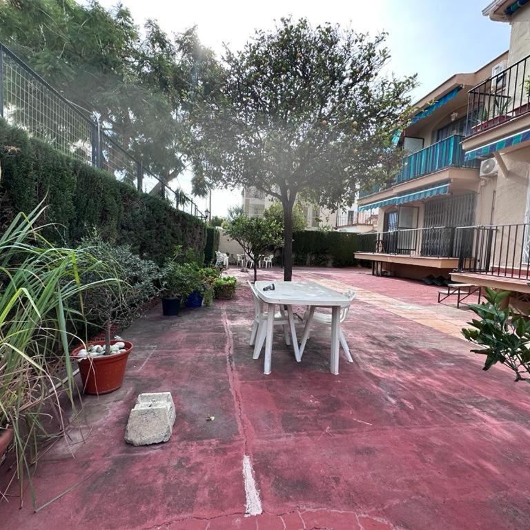 Tamara - Apartamento de 2 dormitorios - 17