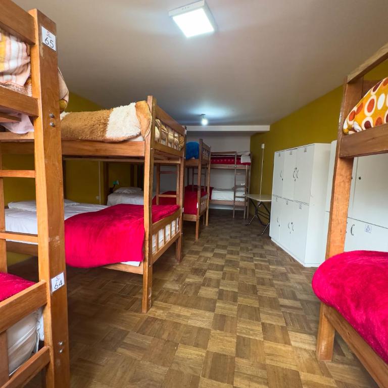Lobo Hostel La Paz - Cama en habitación compartida mixta de 10 camas - 3