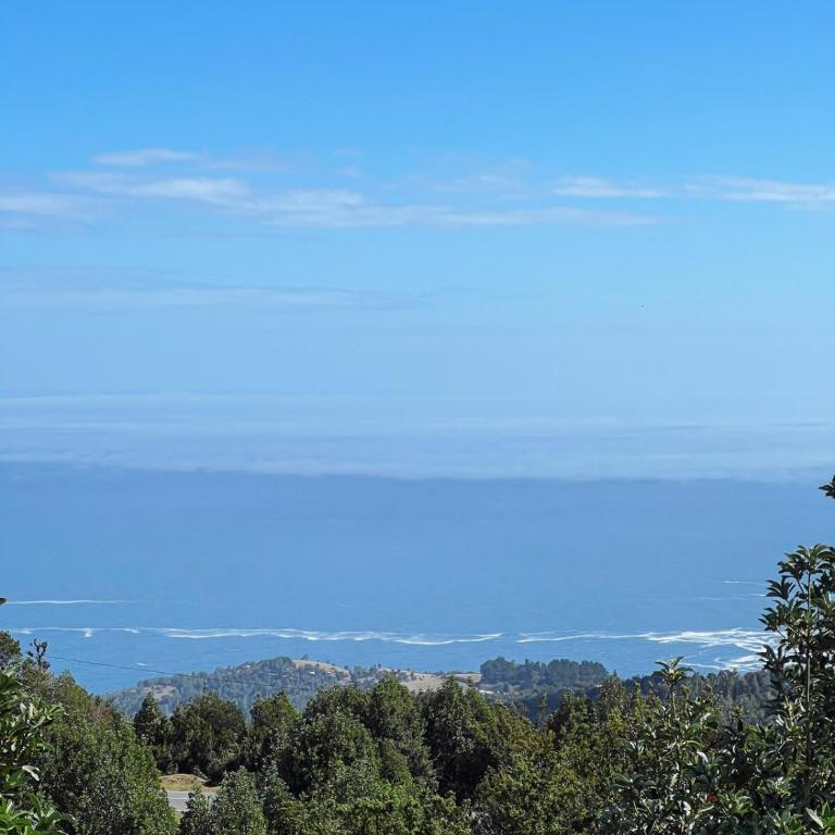 Welemu Kiñe - Vista panorámica al Mar y Bosque - Chalet de 1 dormitorio - 7