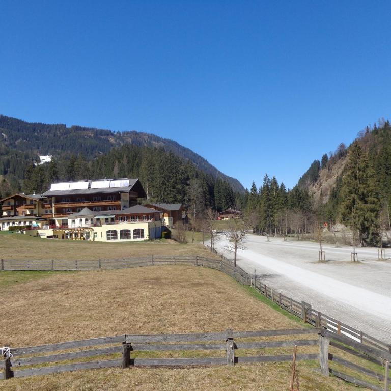 Holiday-Appartements - Apartment mit 2 Schlafzimmern und Schlafsofa (5 Erwachsene) - 4