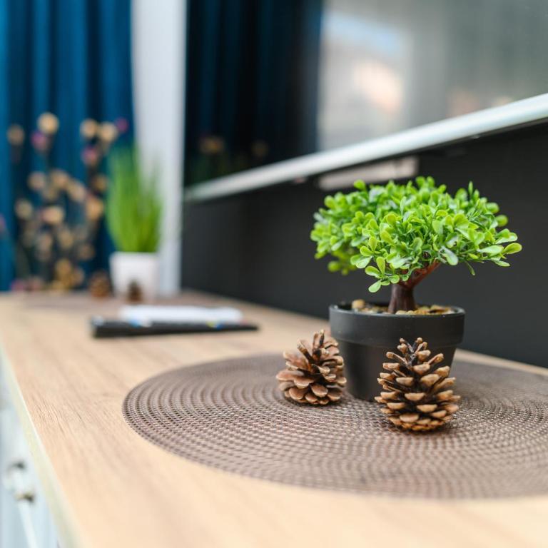 Apartmani Djukic - One-Bedroom Apartment - 20