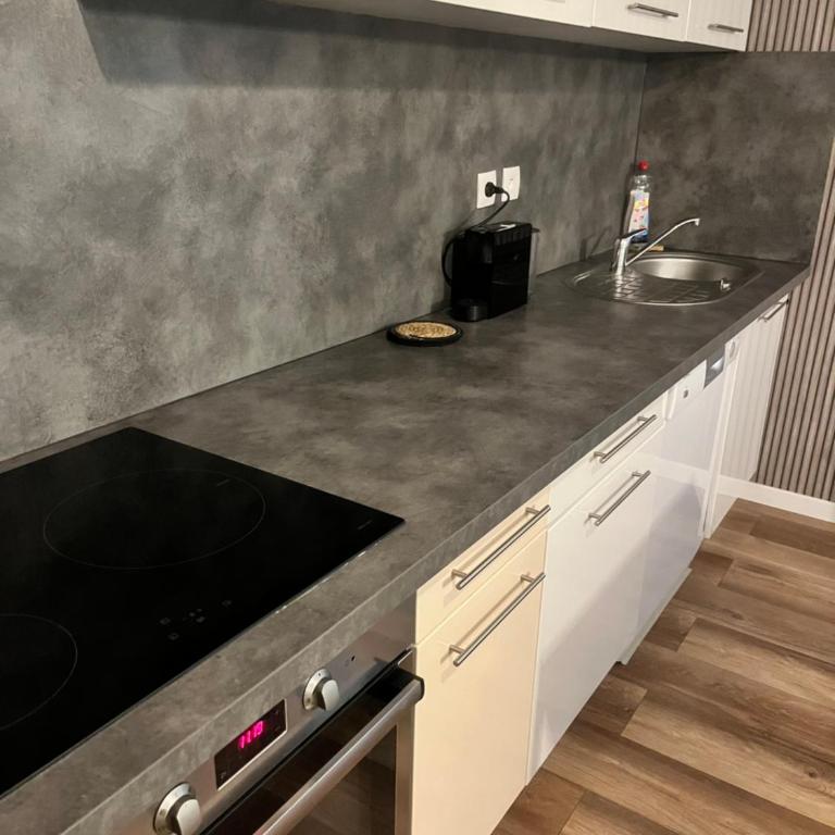 Le 24 carat appartement 3 pièces 50 m2 Beaurepaire - Appartement 2 Chambres - 7