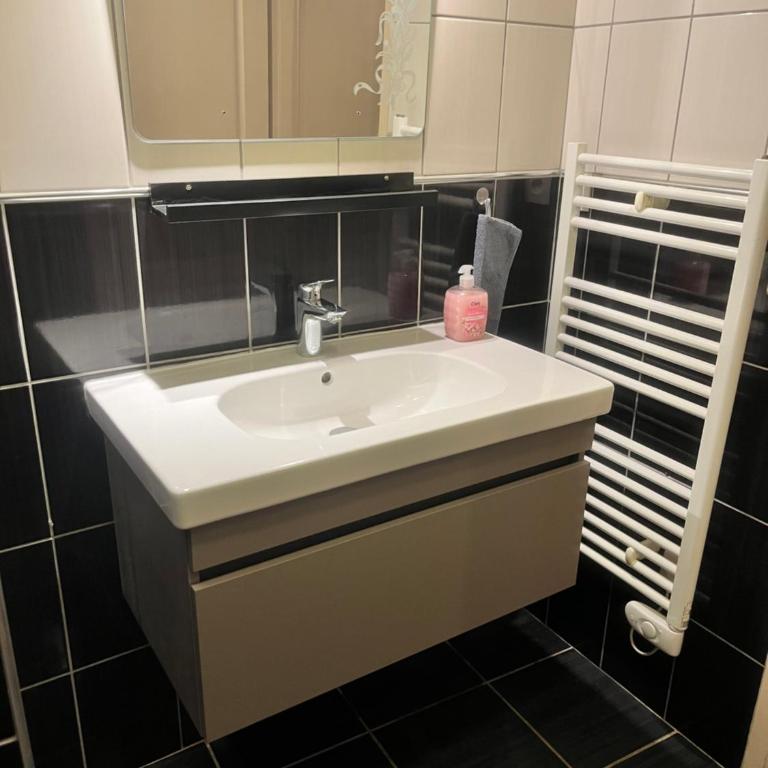 Le 24 carat appartement 3 pièces 50 m2 Beaurepaire - Appartement 2 Chambres - 8