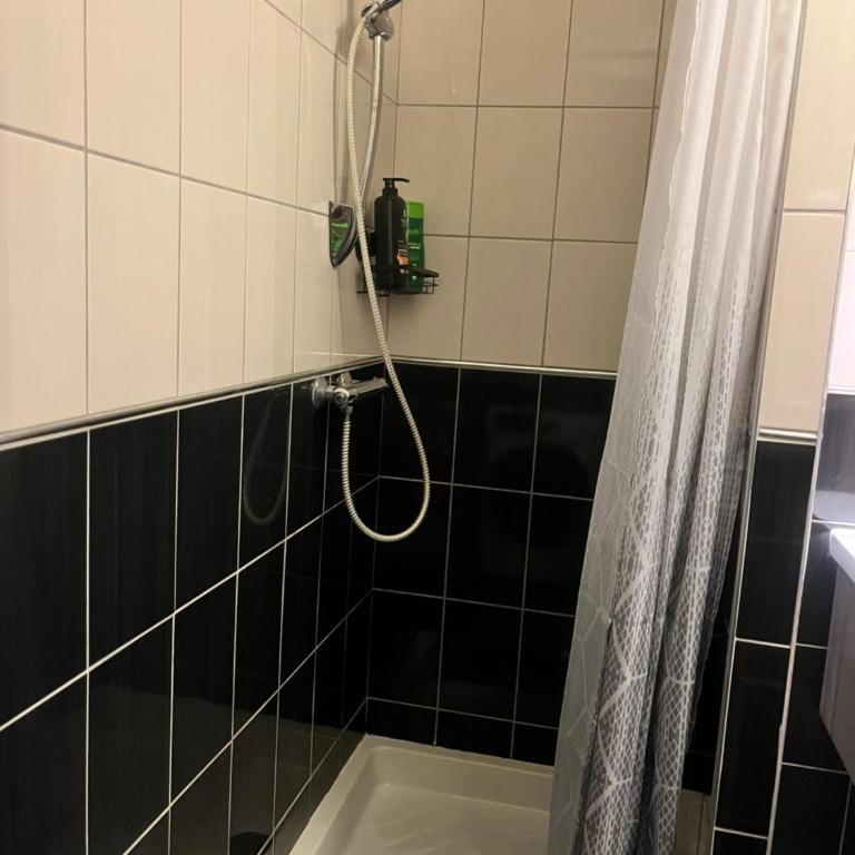 Le 24 carat appartement 3 pièces 50 m2 Beaurepaire - Appartement 2 Chambres - 27
