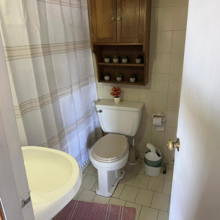 Departamento B - Apartamento de 3 dormitorios - 1