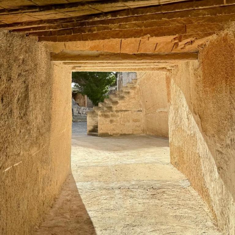 Villa MAE Favignana - Villa - 20