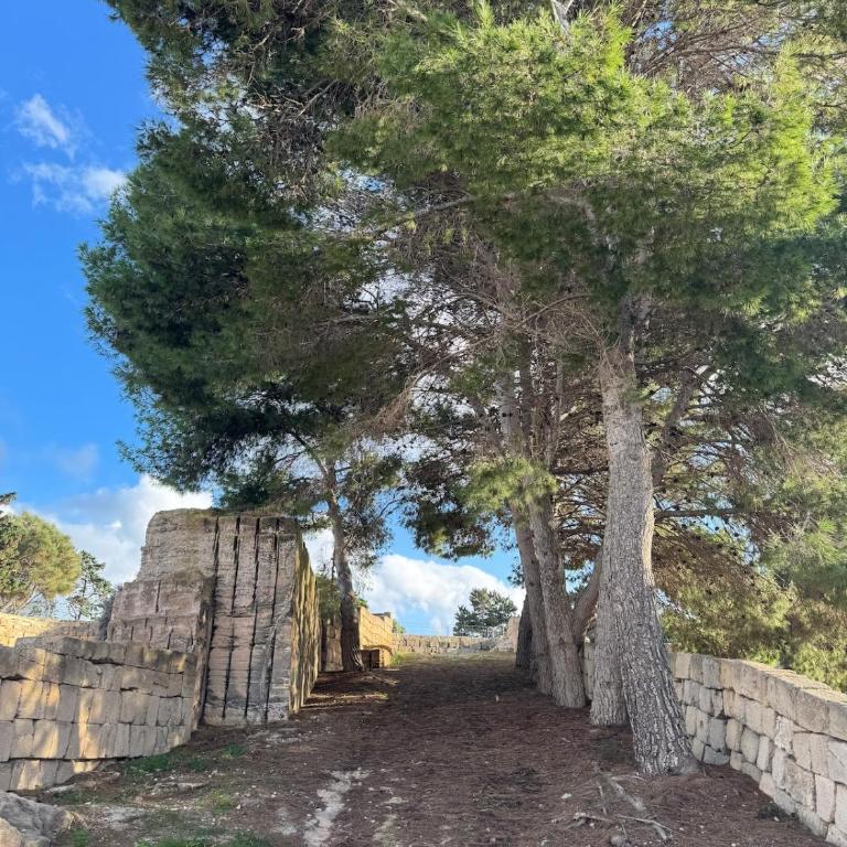 Villa MAE Favignana - Villa - 32