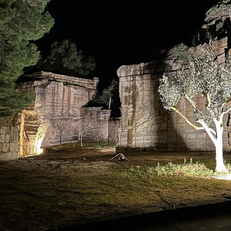 Villa MAE Favignana - Villa - 33