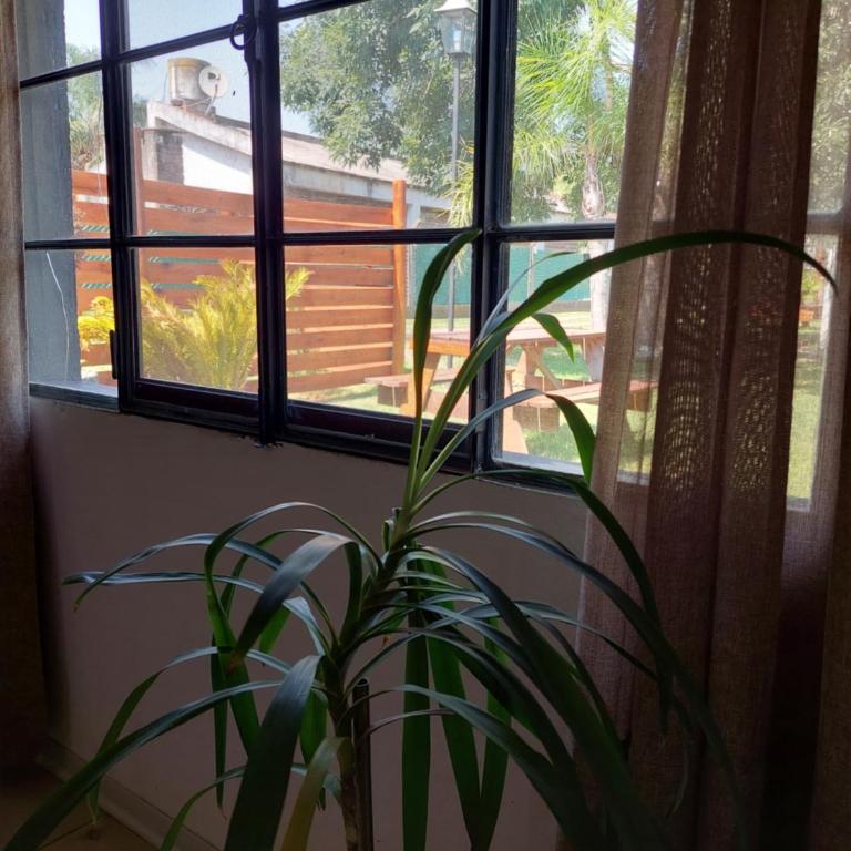 Cabañas Apart del Sauce II - Two-Bedroom House - 41