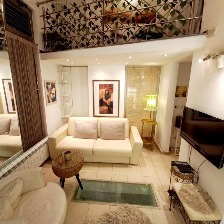 Alex apartmani Beograd - Apartman sa 2 Spavaće Sobe - 1