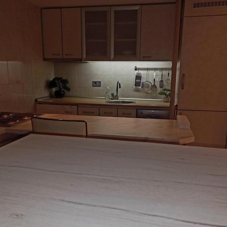 Alex apartmani Beograd - Apartman sa 2 Spavaće Sobe - 15