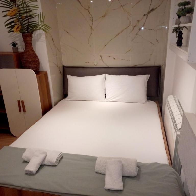 Alex apartmani Beograd - Apartman sa 2 Spavaće Sobe - 52