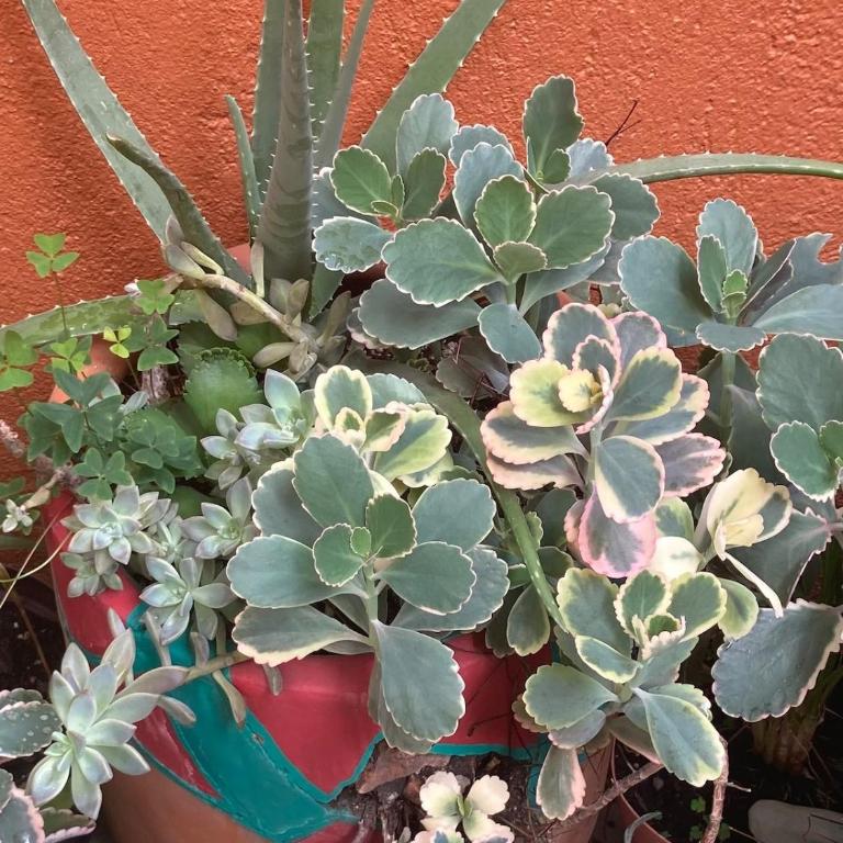 Casa Mera Mera - Casa de 3 dormitorios - 43