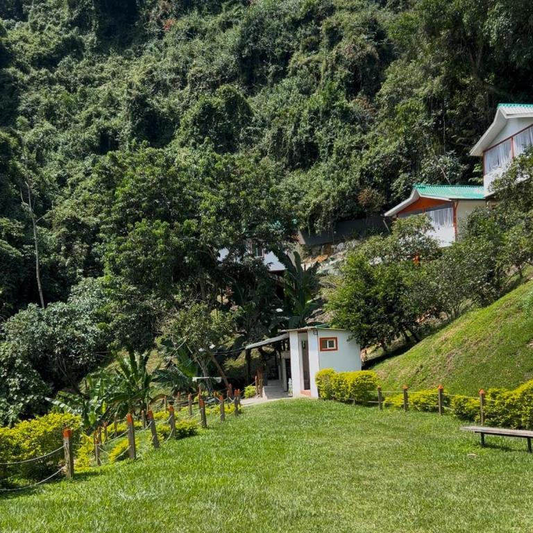 Hotel Finca los Cristales - Chalet - 4