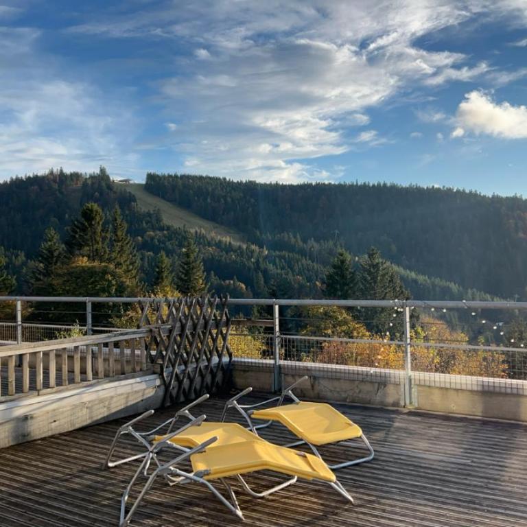Appartement sur les hauteurs de Gérardmer - Appartement avec Vue sur la Montagne - 13