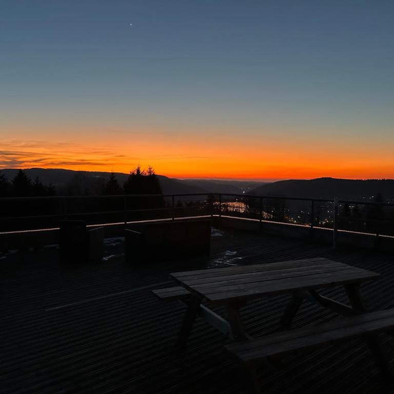 Appartement sur les hauteurs de Gérardmer - Appartement avec Vue sur la Montagne - 16