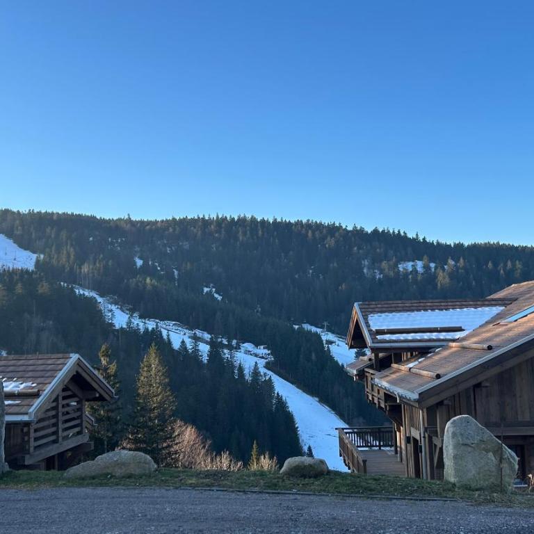 Appartement sur les hauteurs de Gérardmer - Appartement avec Vue sur la Montagne - 22