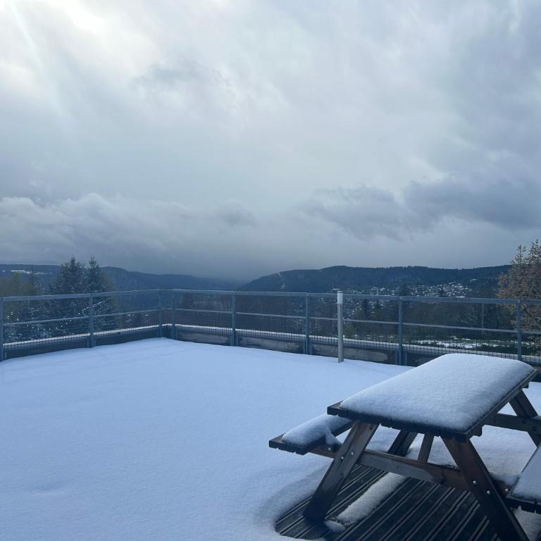 Appartement sur les hauteurs de Gérardmer - Appartement avec Vue sur la Montagne - 9