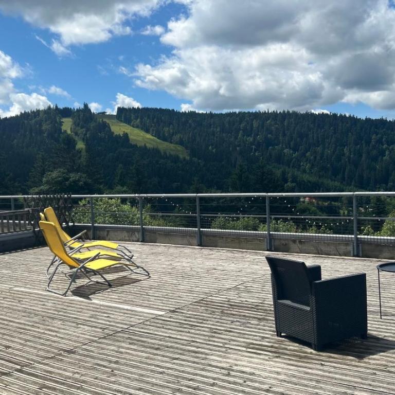 Appartement sur les hauteurs de Gérardmer - Appartement avec Vue sur la Montagne - 11