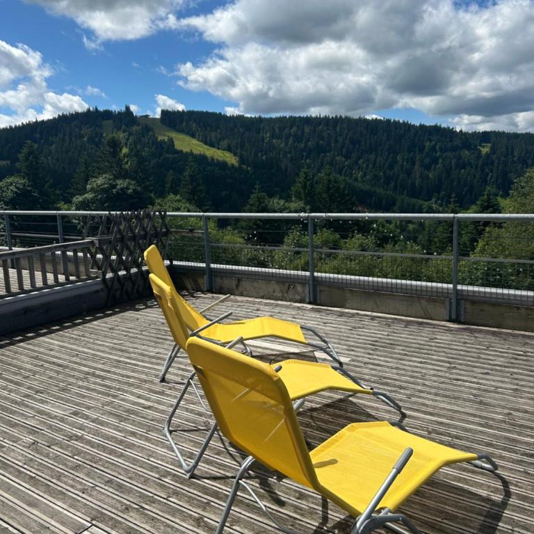Appartement sur les hauteurs de Gérardmer - Appartement avec Vue sur la Montagne - 12