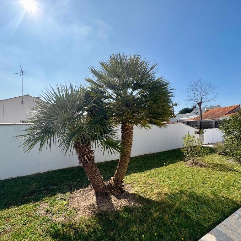 Maison 2 chambres proche plage et commerces, terrasse couverte - FR-1-323-284 - Maison de Vacances - 15