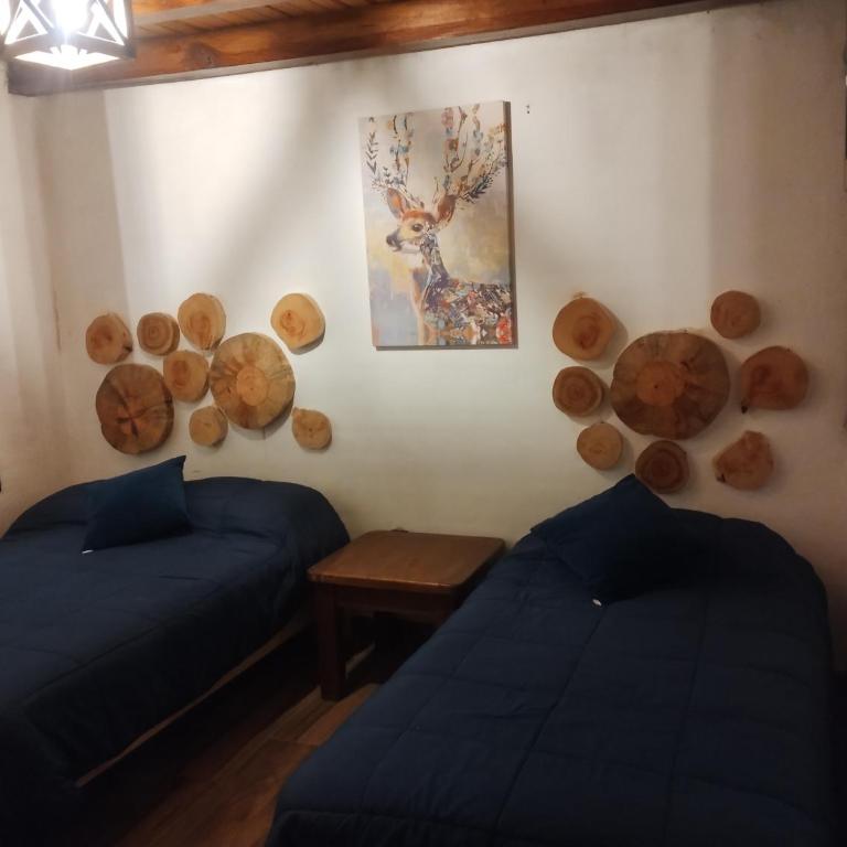 SENDERO REAL Mazamitla 4 - Chalet - 7