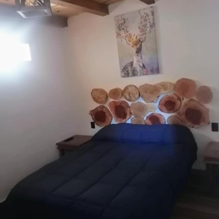 SENDERO REAL Mazamitla 4 - Chalet - 9
