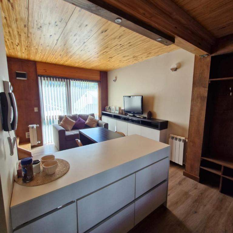 Vivero 2 - Apartamento de 1 dormitorio - 7
