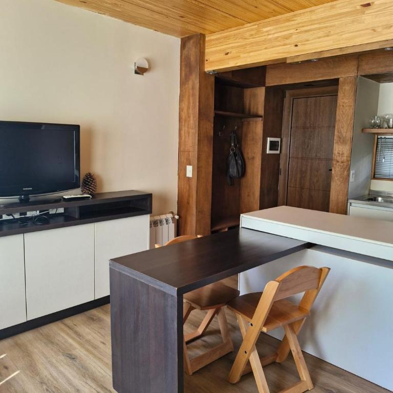 Vivero 2 - Apartamento de 1 dormitorio - 10
