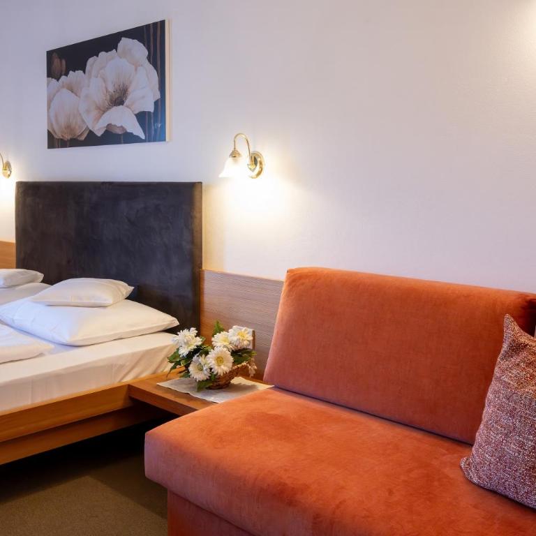 Residence *** Geringerhof - Appartamento con 1 Camera da Letto con Vista - 7
