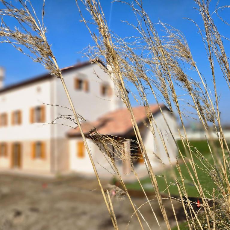 Alla Rocca Storica - Casa con 1 Camera da Letto - 18