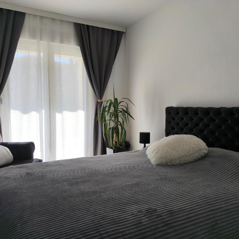 Apartman KUM - One-Bedroom Apartment - 10