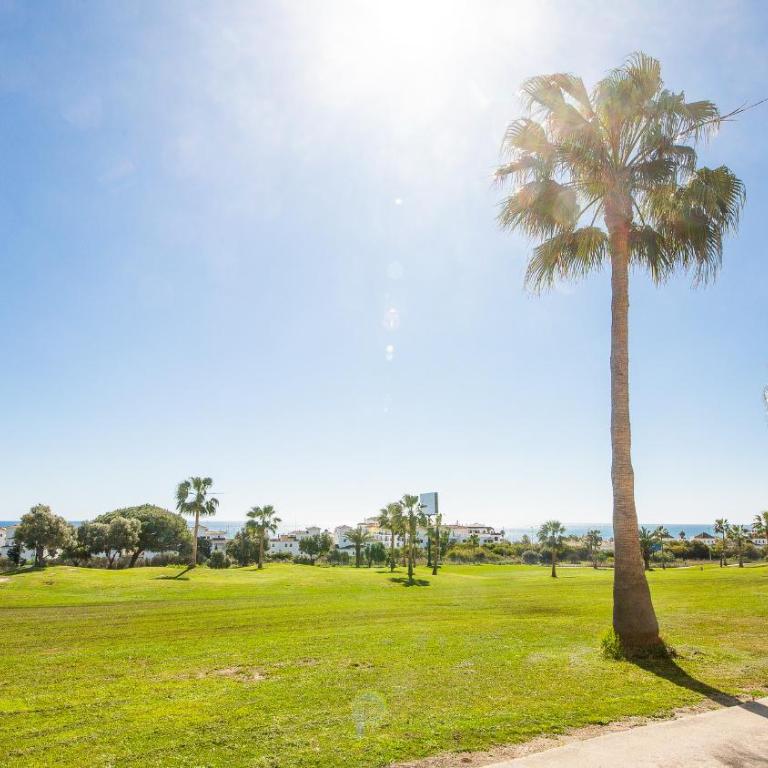 Los Castillos 36 - Apartamento con vistas al jardín - 16