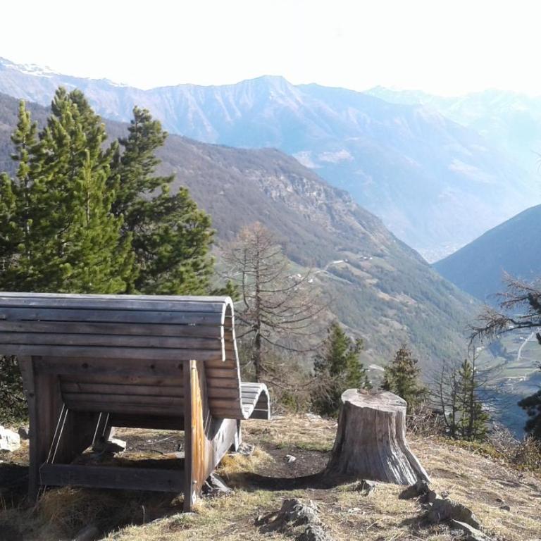 Berggasthof Stallwies - Habitación Doble con vistas a la montaña - 4