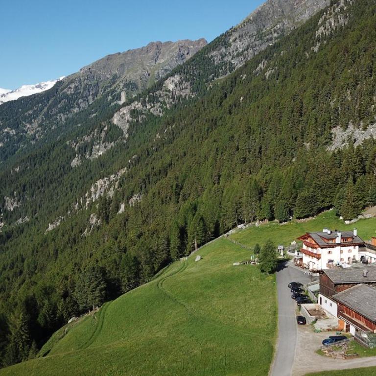Berggasthof Stallwies - Habitación Doble con vistas a la montaña - 12