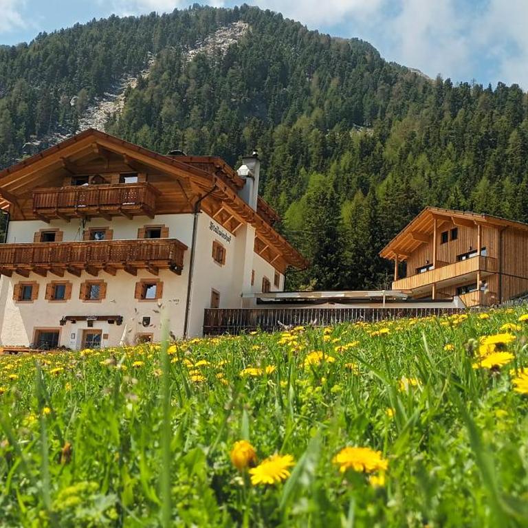 Berggasthof Stallwies - Habitación Doble con vistas a la montaña - 14