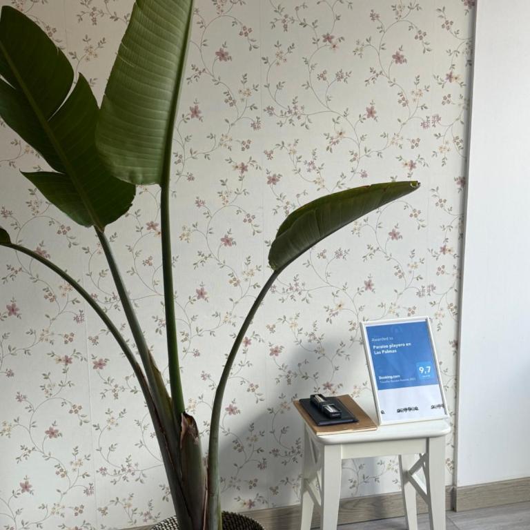 Paraíso playero en Las Palmas - Two-Bedroom Apartment - 10