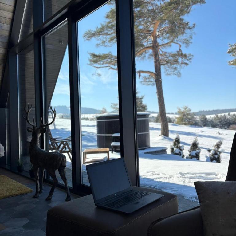 One & Only - Peace For You, Zlatibor - Two-Bedroom House - 11