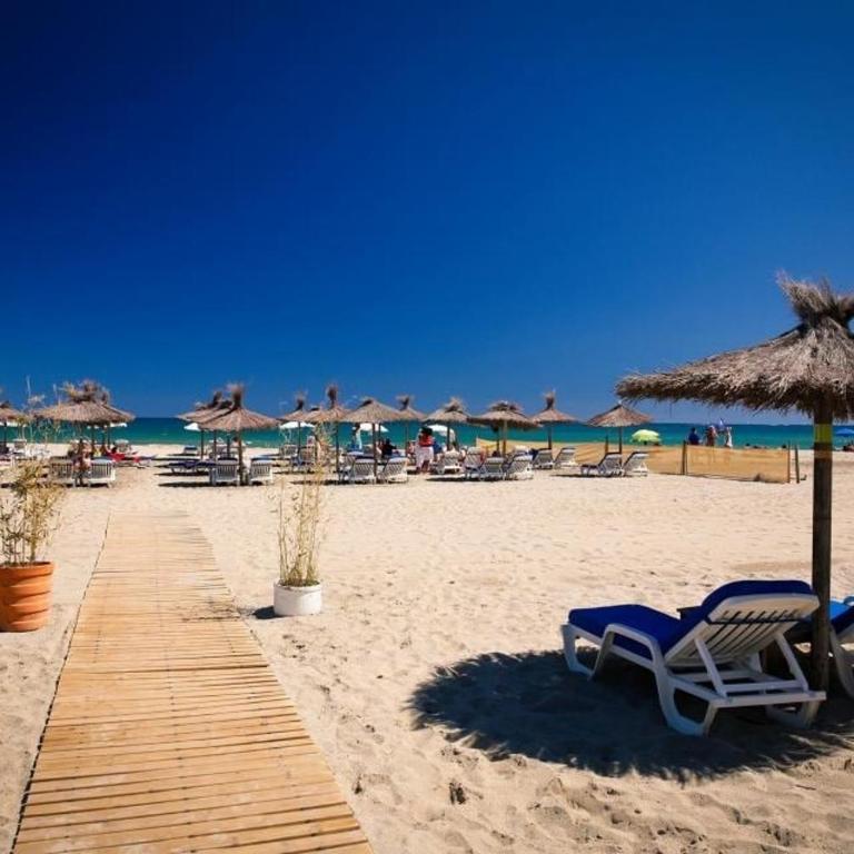 Les Palmiers Appartement 4 personnes 50m De La Plage Parking - Appartamento - 24