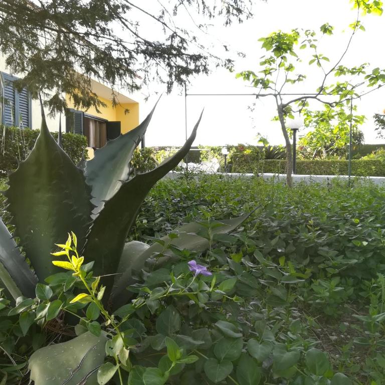 Villa Maddalena a Otranto - Villa - 62
