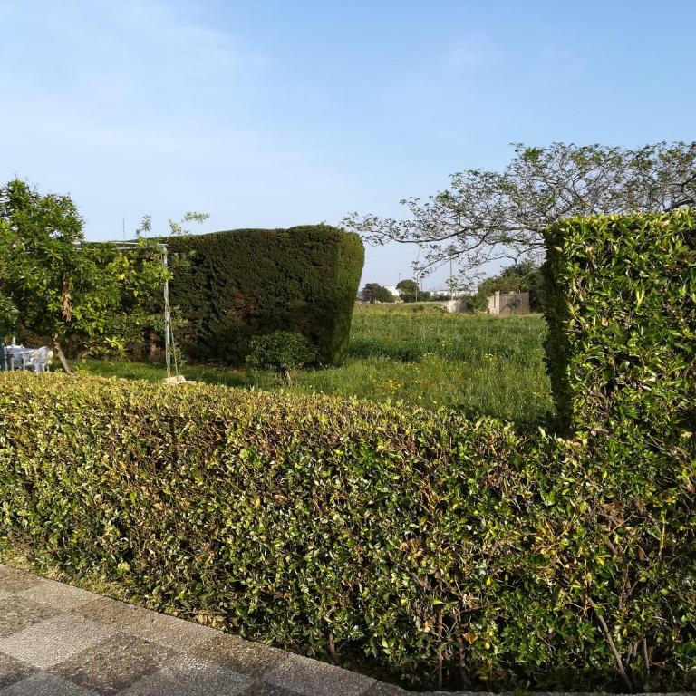 Villa Maddalena a Otranto - Villa - 69