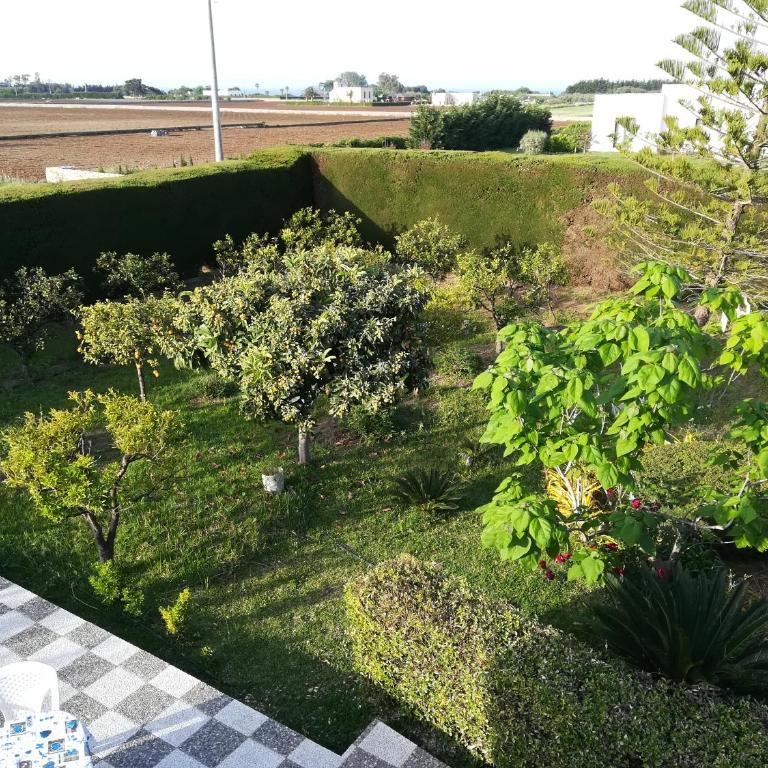 Villa Maddalena a Otranto - Villa - 70