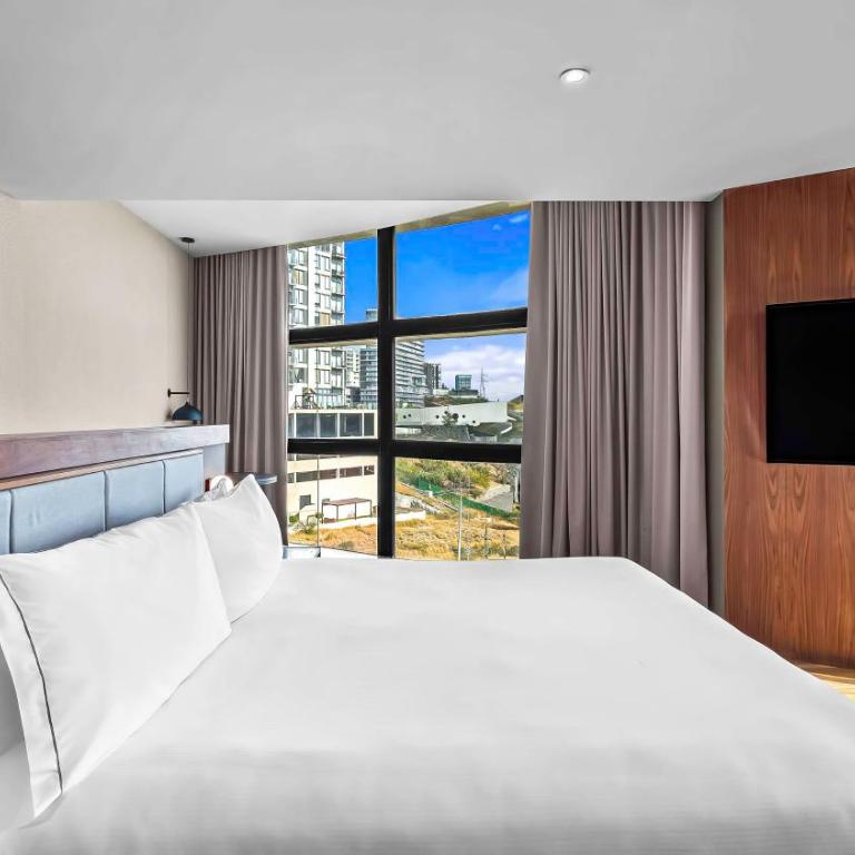 Hilton Queretaro - Junior King Suite with Seating Area - 3
