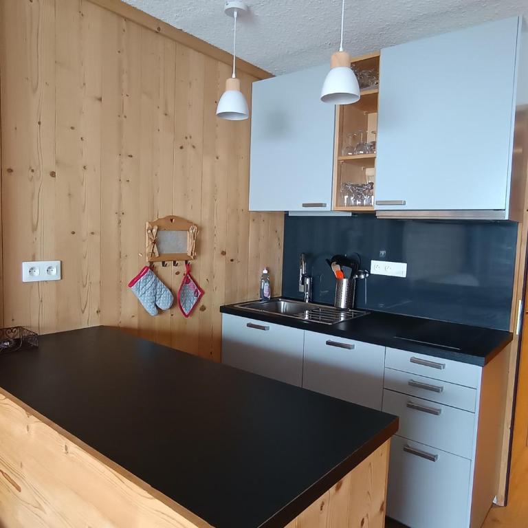 Studio rénové tout confort avec parking proche pistes - FR-1-445-150 - Monolocale - 5