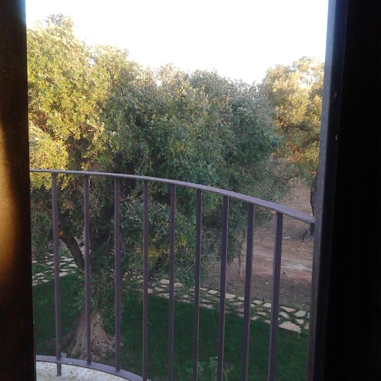 Masseria Le Celline - Camera Matrimoniale Standard - 1